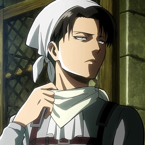 Levi
