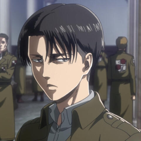 Levi