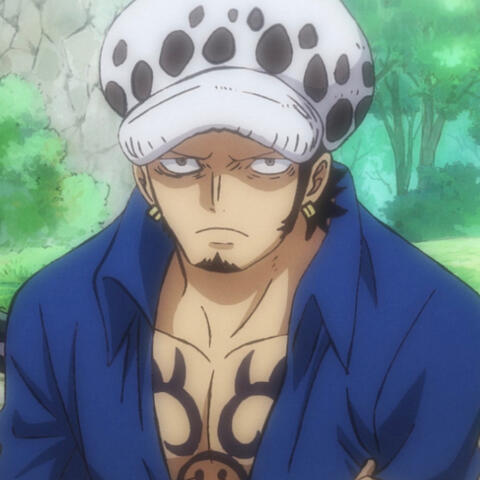 Trafalgar Law