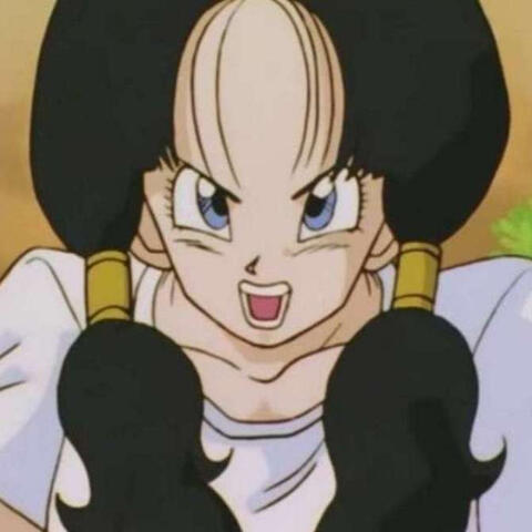 Videl