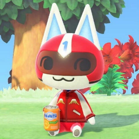Kid Cat