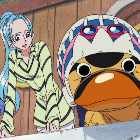 Vivi & Karoo